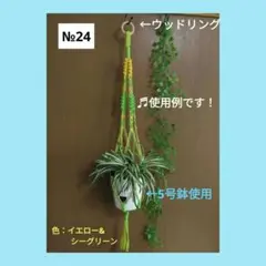 《マクラメ＊プラントハンガー》（全長約99㎝/色：イエロー&シーグリーン）