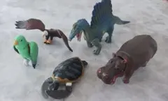 アニア 5体セット