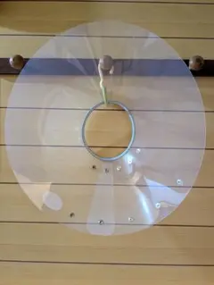 Item thumbnail for item 7f9f718e-2f89-43d5-82e4-b9ff01bf0051