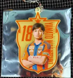 アルビレックス新潟　若月大和選手　蓄光キーホルダー