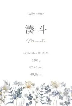 命名書・命名紙(台紙のみ) A4orハガキサイズ