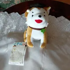 東京大学 卒業帽の犬のぬいぐるみ 約20cm　希少品