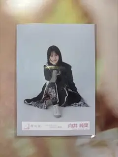 Item thumbnail for item 69ec1166-7abe-49ae-bf4c-65bfb7083f7d