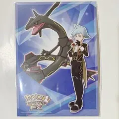 【即購入可】ポケマス まねきねこ ダイゴ ポストカード