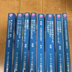 野いちご　小説セット