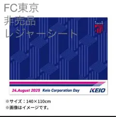 ＦＣ東京　京王電鉄 Day開催記念！限定オリジナルレジャーシート