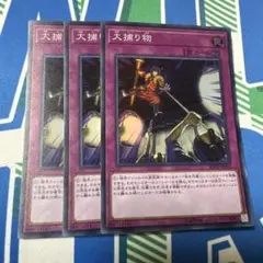 大捕り物 スーパー 3枚