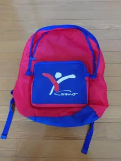 【色褪せ汚れなし】コスモスポーツクラブ　リュックサック