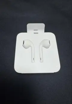 新品純正品 iPhone イヤホン Apple 有線 ライトニングイヤホン
