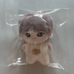10cm 着せ替えぬいぐるみ本体 seventeen ウォヌ