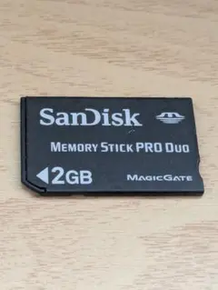 送料無料 SanDisk 2GB メモリースティック