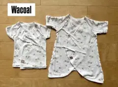 Item thumbnail for item 2f0725c2-6f45-4cfe-b9ec-0be3c7be634a