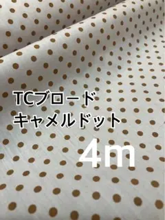 Item thumbnail for item 56701a5d-de74-4549-9fc9-c62fa6b8d02c