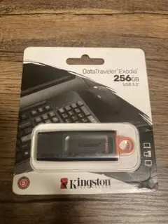 USBメモリ Kingston DataTraveler 256GB