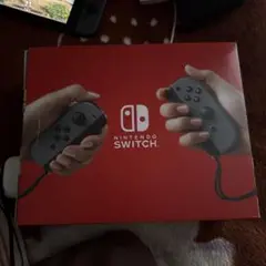 Nintendo Switch Joy-Con (グレー)