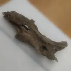 Item thumbnail for item d95f3f94-b8c3-48a6-a3ae-f1cdd82778bb