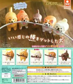 いい感じの棒をゲットした犬 全5種セット