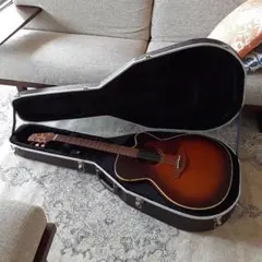 Takamine NPT012サンバースト期間限定値下げ 2025年最新】TAKAMINE NPT-012の人気アイテム - メルカリ
