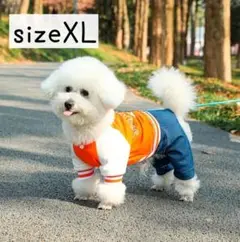 Item thumbnail for item 2d4cdcde-7584-4e55-bd76-ade60d7a44ac
