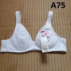 新品　トップバリュ　ノンワイヤーブラ　ホワイト A75