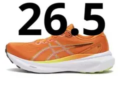 アシックス　GEL-KAYANO 30 ゲルカヤノ30