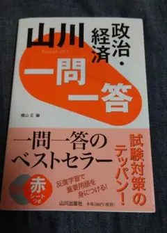山川 一問一答 政治・経済