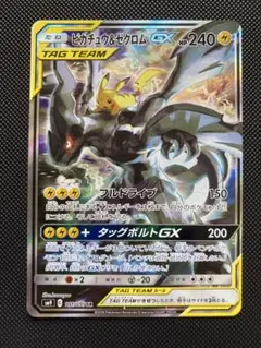 早い者勝ち‼️ピカゼクsa m64201992067_1.jpg?1747647072