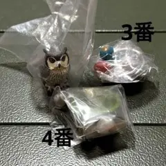 まんまるとりパック2/福をよぶ フクロウ大全 アフリカオオコノハズク ガチャ