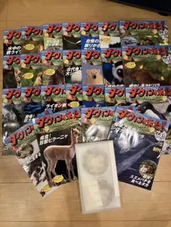 ダーウィンが来た！　DVDブック　47巻まとめ売り　DVD未使用 ダーウィンが来た！ DVDブック 47巻まとめ売り DVD未使用