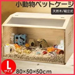 Item thumbnail for item f0367ab9-32e7-4e7b-be29-071c5f034ca8