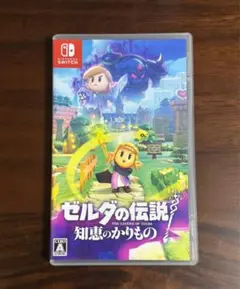 ゼルダの伝説 知恵のかりもの Nintendo Switch