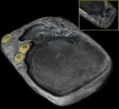 Item thumbnail for item b0ccb5b6-38d4-4d15-ae76-ba8717b5d7b4