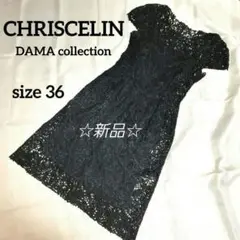 新品★クリスセリーン ダーマコレクション ワンピースドレス 総レース