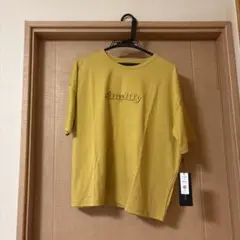 銀座花菱 Tシャツ 半袖 サイズ40