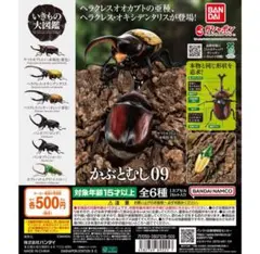 いきもの大図鑑 かぶとむし09 全6種