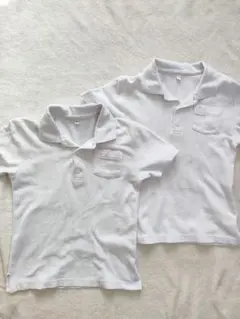 Item thumbnail for item d4504b81-29f7-48ef-911b-2a8b976957b1