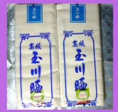 Item thumbnail for item b7a8ff78-b27c-4b1e-b581-687b691797e2