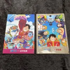 ONE PIECE（ワンピース）✖️USAMI（宇佐美）、大感謝祭クリアファイル