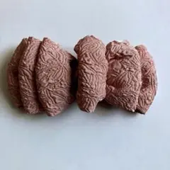 Item thumbnail for item 44e340cf-1136-418d-b236-71811d8d7616