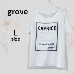 grove グローブ 美品 シースルー 重ね Tシャツ ホワイト 白 シアー