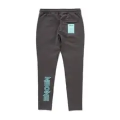 VERTICAL NEONE JOGGER PANTS D.GRAY