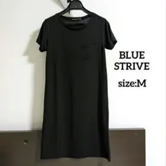 Item thumbnail for item 02162fd3-7f74-4477-8d74-1645f44fbe4e
