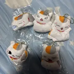 ニャンコ先生