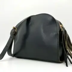 【良品✨/別注】タイドウェイ I am I コラボ ショルダーバッグ 姫路レザー