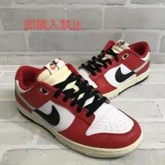 nk-3723.NIKE ナイキ DUNK LOW RETRO PREMIUM