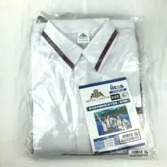 Item thumbnail for item 84e71bfc-afbe-4a41-88ae-3e98162c5542