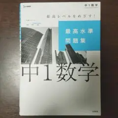 最高水準問題集 中1数学