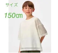 メッシュ素材 Tシャツ 150cm