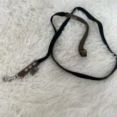 BUDDY BELTS リード