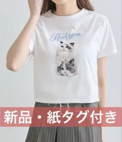 OLIVE des OLIVE アニマルアソート猫Tシャツ